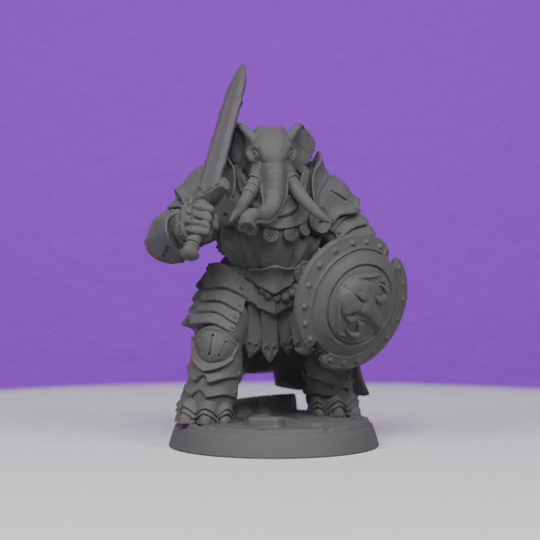 Ivory Sentinel with Sword and Buckler | Artisan Guild Miniatures | Compatible with D&D/AoS | Fantasy | Tabletop RPG