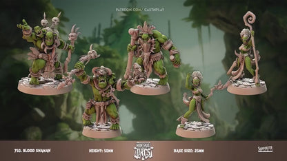 Ork Blood Shaman | CastnPlay Miniatures | Compatible with D&D/AoS | Fantasy | Tabletop RPG