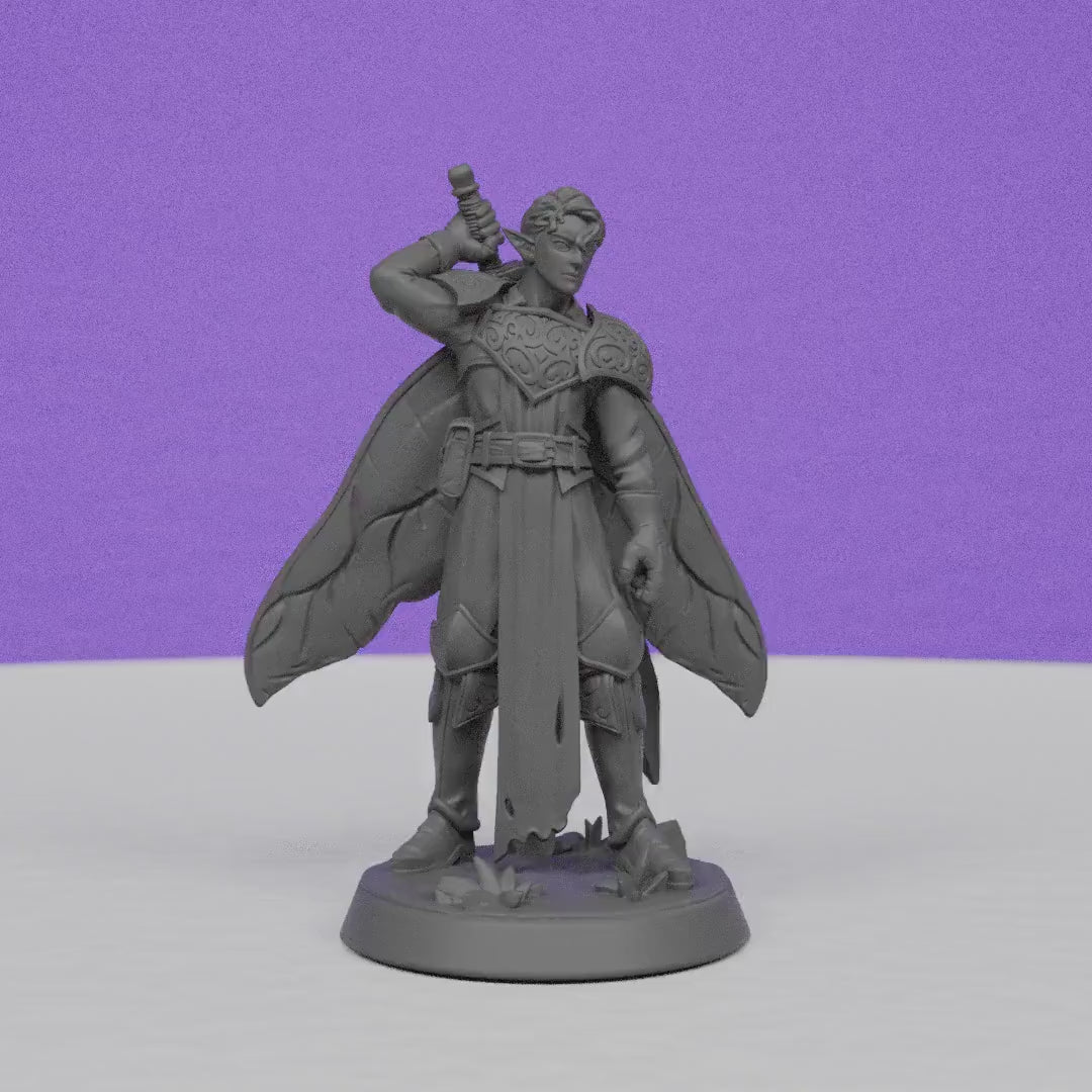 Luc Pixie Warrior | Miniatures Blueprint | Compatible with D&D/AoS | Fantasy