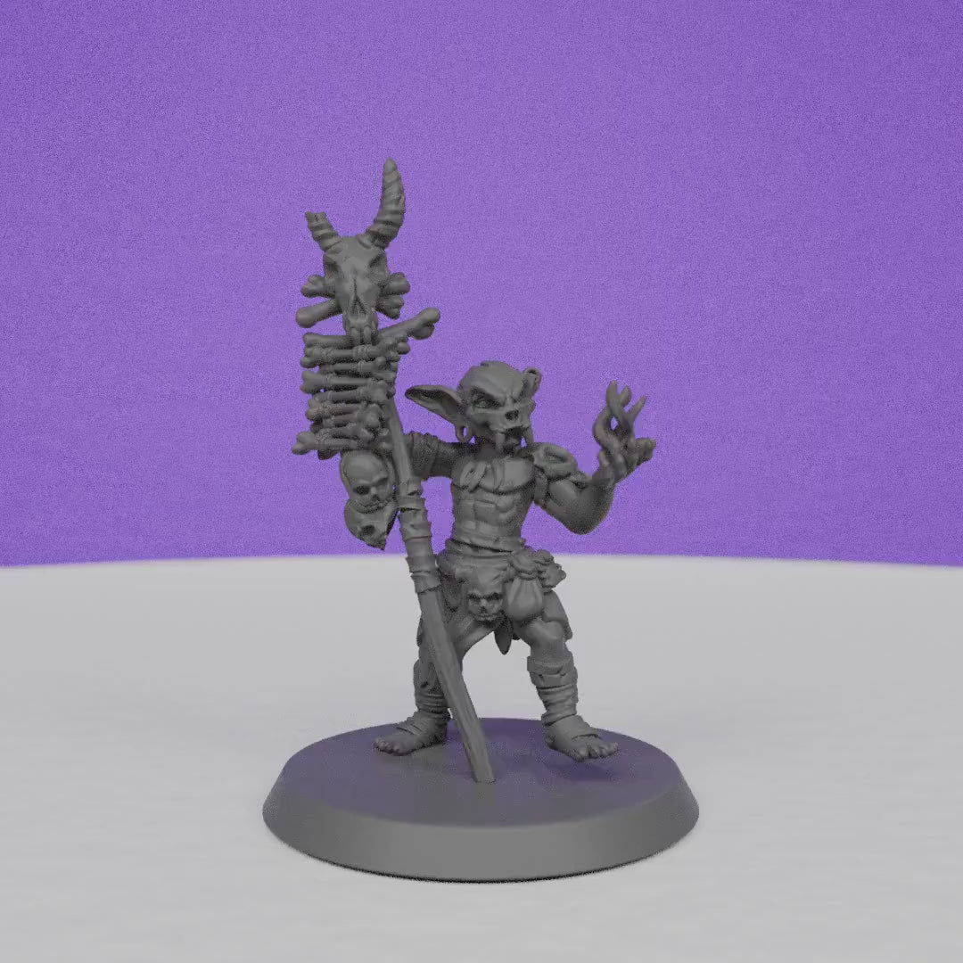 Goblin Shaman | Galaad Miniatures | Compatible with D&D/AoS | Fantasy | Tabletop RPG