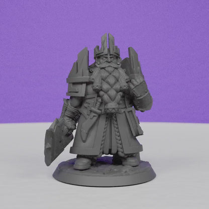 Dwarf King | Miniatures Blueprint | Compatible with D&D/AoS | Fantasy