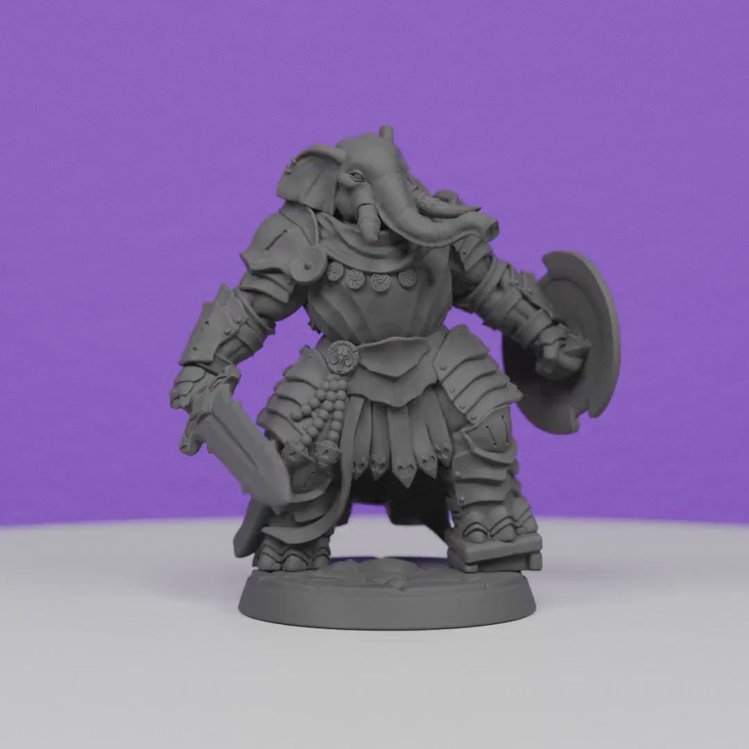 Ivory Sentinel with Broadsword and Shield | Artisan Guild Miniatures | Compatible with D&D/AoS | Fantasy | Tabletop RPG